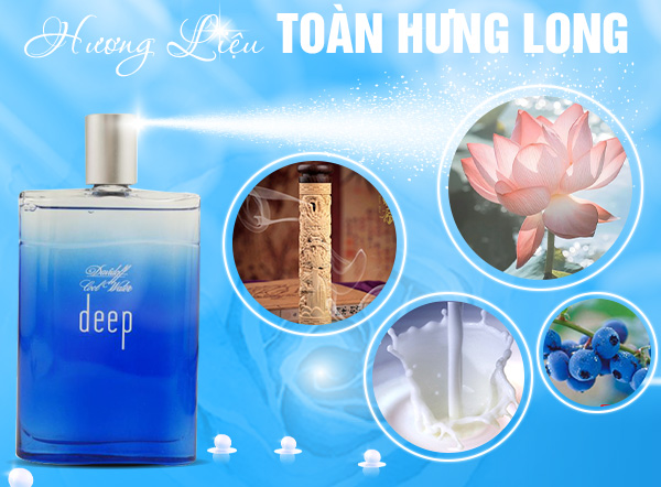 Công Ty TNHH Toàn Hưng Long